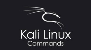 Read more about the article All Important Kali Linux Commands For Hacker With Use