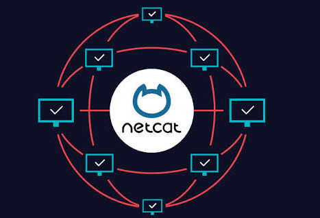 Relpacing Most Favourite Tool Of Hackers Netcat With Python